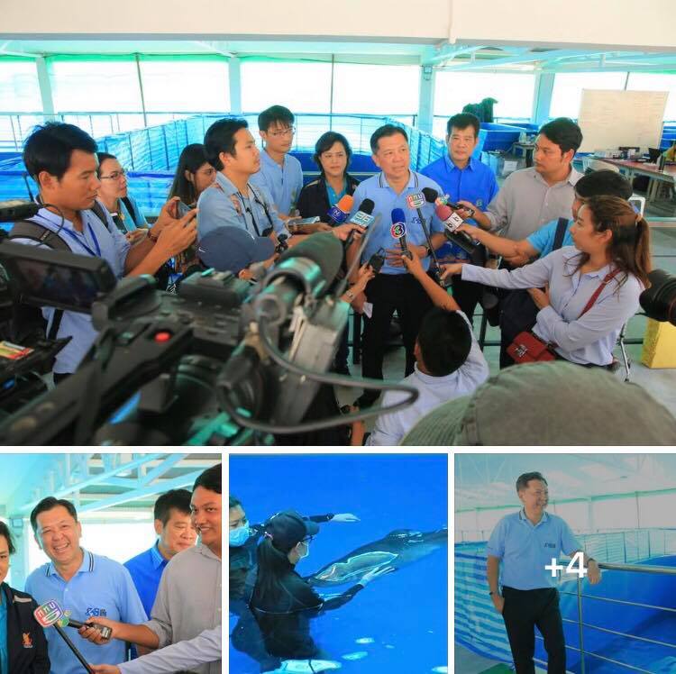 อธิบดี ทช. นำคณะสื่อมวลชนติดตามอาการ "ยามีล" และ "โฮป" ย้ำสัตวแพทย์ต้องดูแลอย่างใกล้ชิด