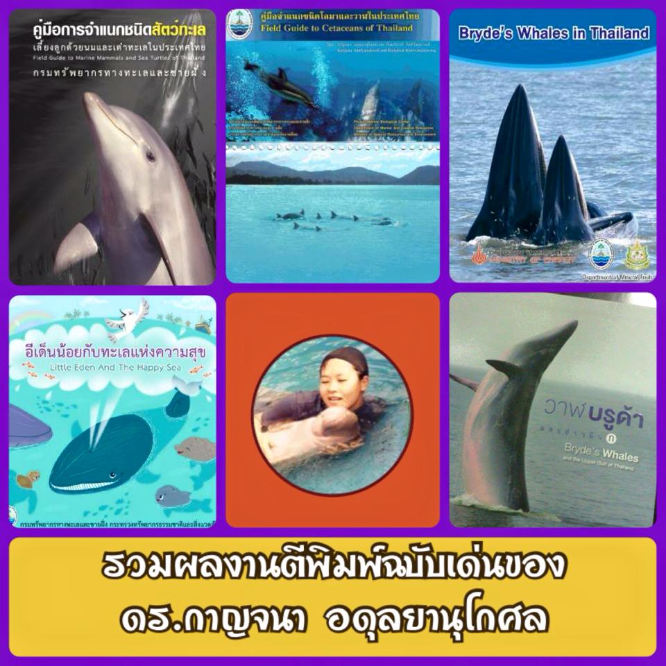 รวมผลงาน