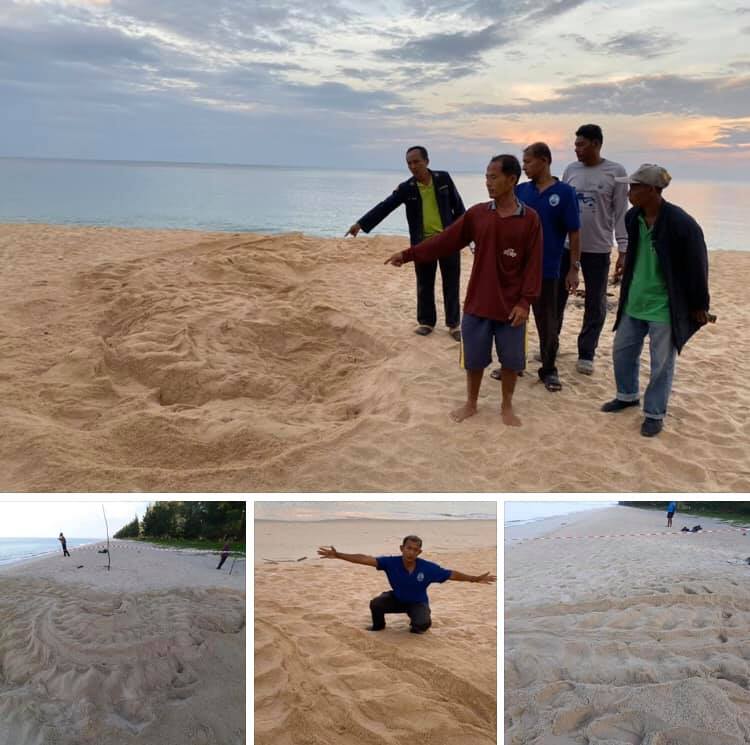 พังงาเฮอีกรอบ พบแม่เต่าขึ้นวางไข่ที่หาดบ่อดาน
