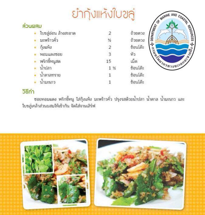 มื้อกลางวัน ทานอะไรกันดี