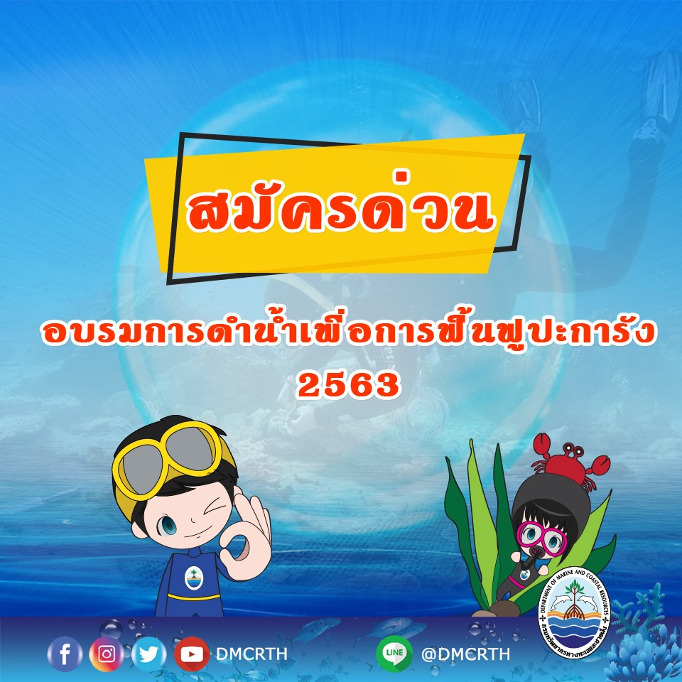 มาแล้ว หลักสูตรอบรมการดำน้ำเพื่อการฟื้นฟูปะการัง
