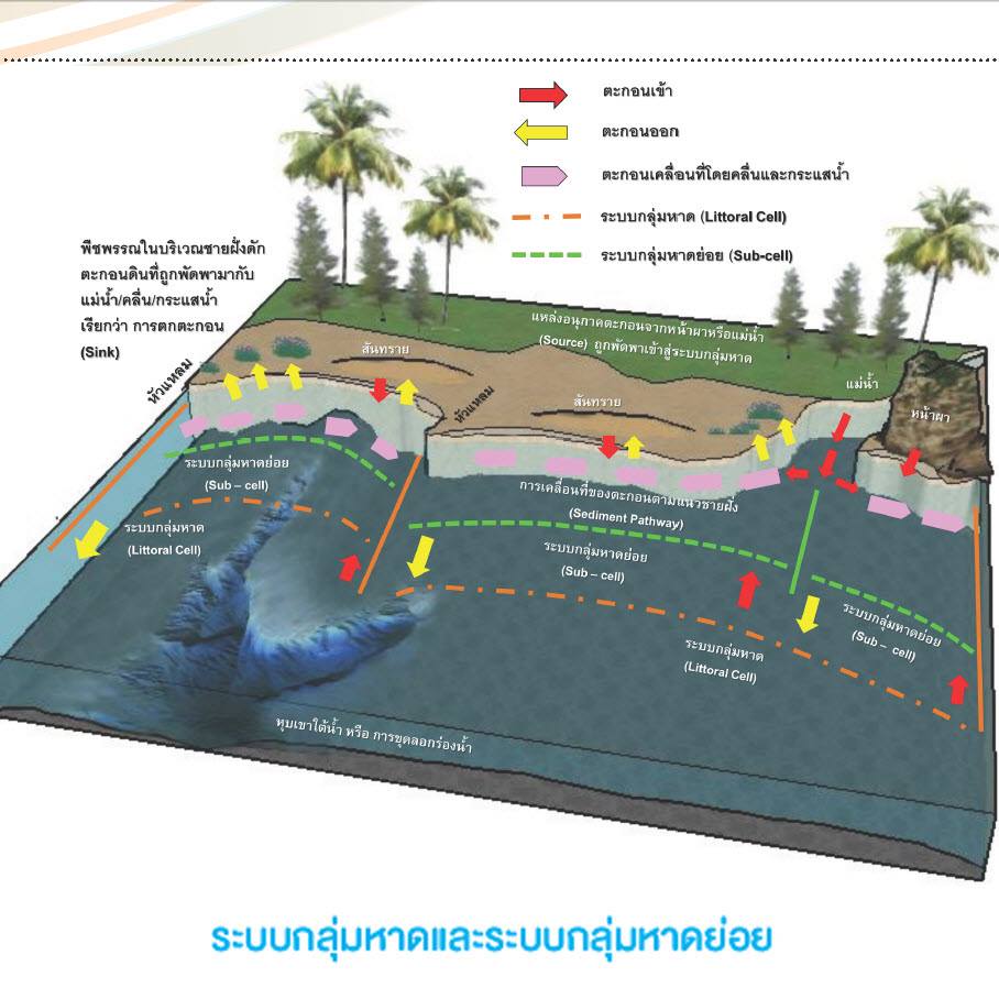 เกร็ดความรู้ ทช.