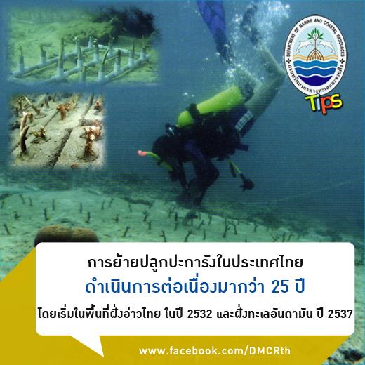 เกร็ดความรู้ ทช.