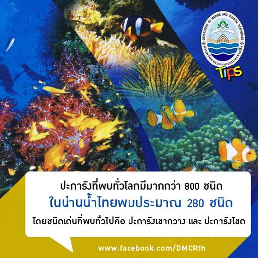 เกร็ดความรู้ ทช.
