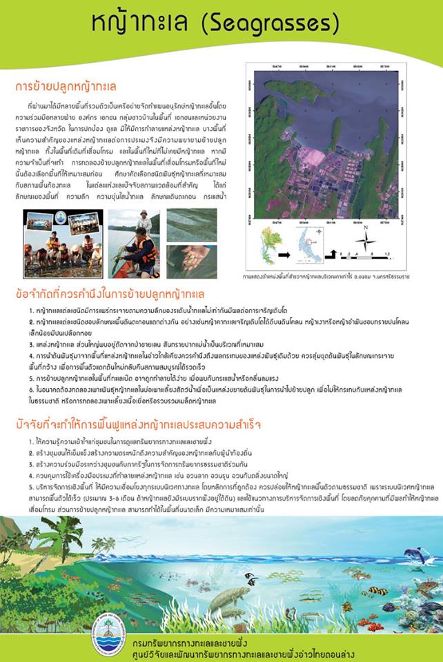 เกร็ดความรู้ ทช.