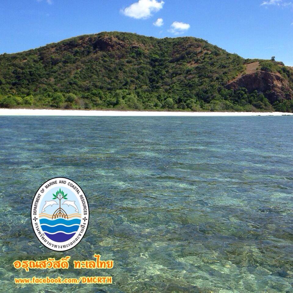 สวัสดีครับ พี่น้องเครือข่ายรักษ์ทะเลไทย