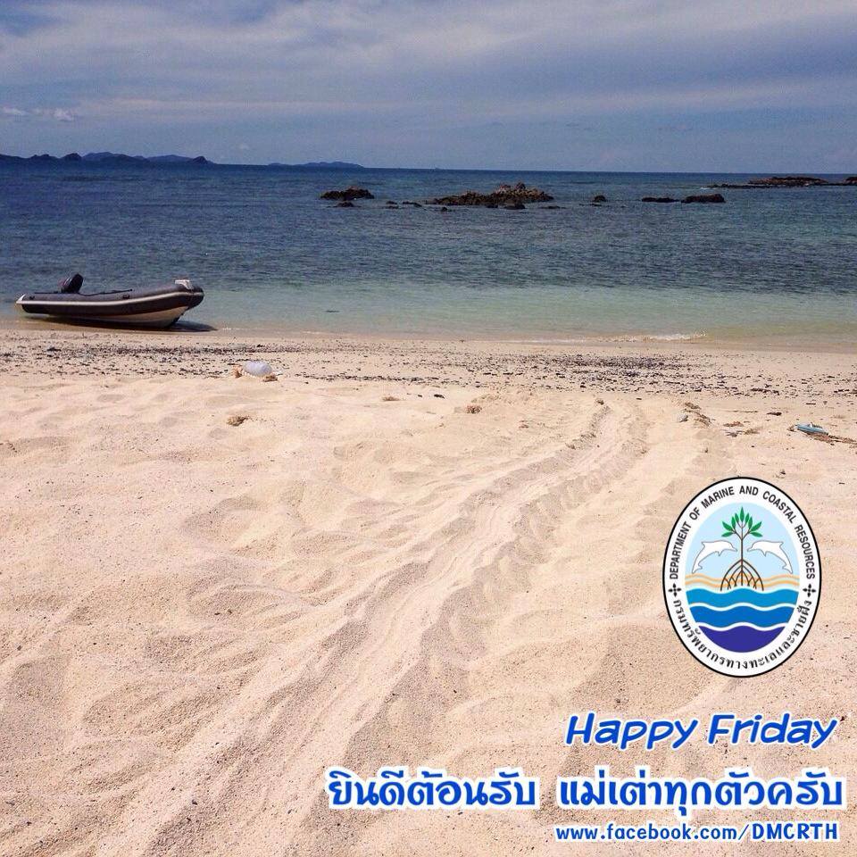 สวัสดีครับ พี่น้องเครือข่ายรักษ์ทะเลไทย