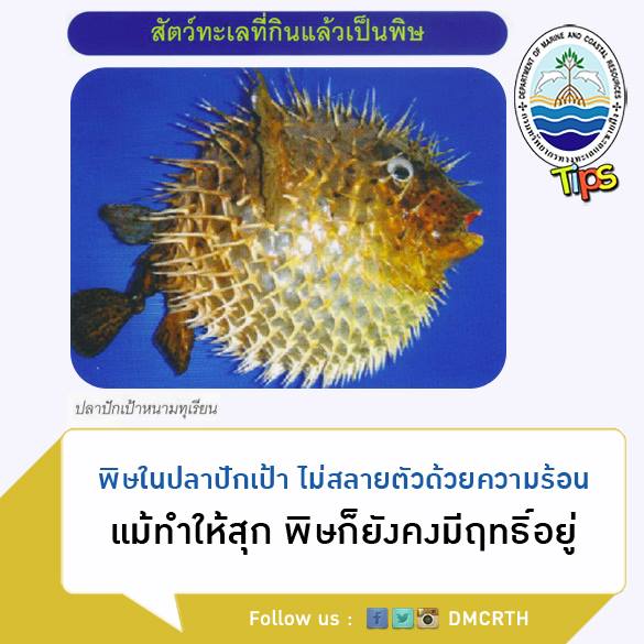 เกร็ดความรู้ ทช.