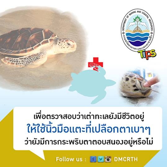 เกร็ดความรู้ ทช.