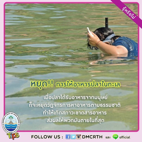 เกร็ดความรู้ ทช.