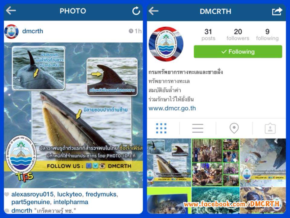 ทช. เพิ่มช่องทาง Instagram : dmcrth