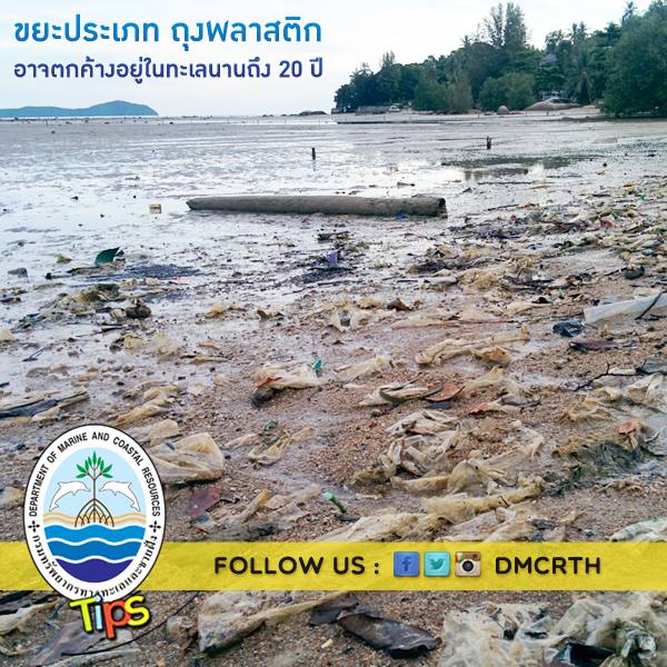 เกร็ดความรู้ ทช.