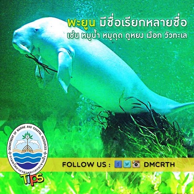 เกร็ดความรู้ ทช.