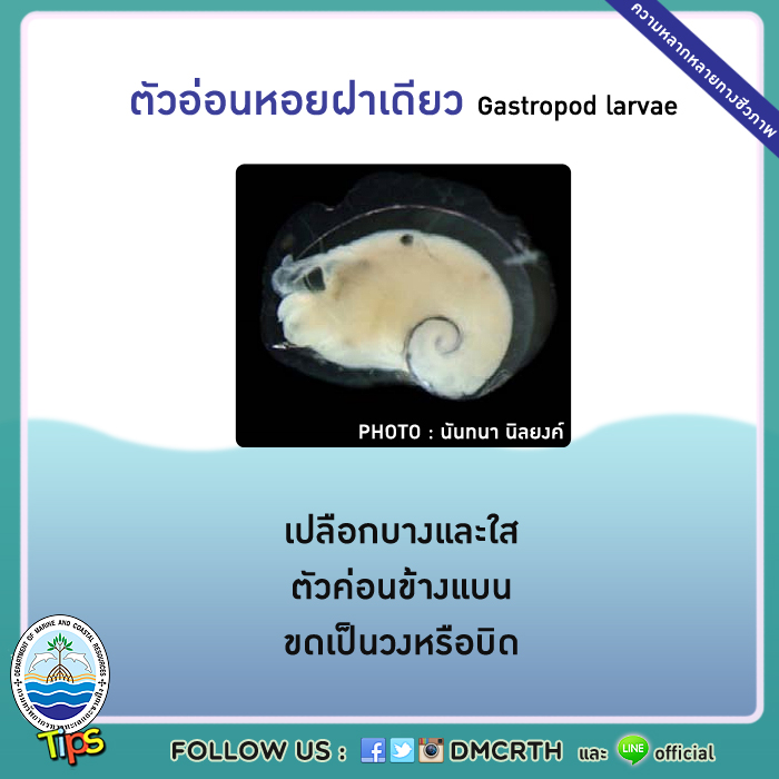 เกร็ดความรู้ ทช.