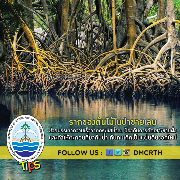 เกร็ดความรู้ ทช.