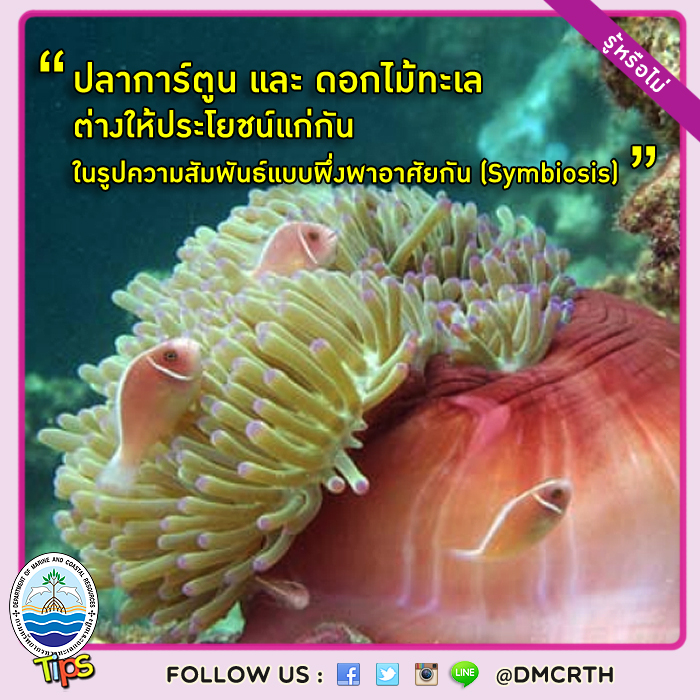 เกร็ดความรู้ ทช.