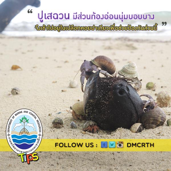 เกร็ดความรู้ ทช.