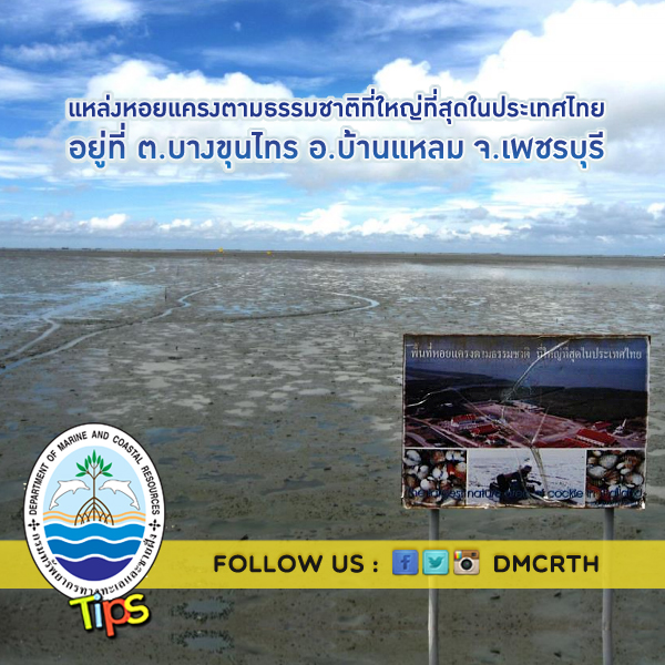 เกร็ดความรู้ ทช.