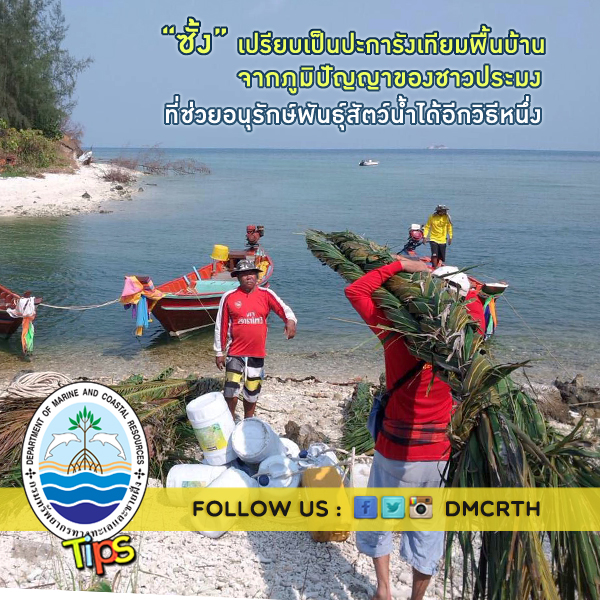 เกร็ดความรู้ ทช.