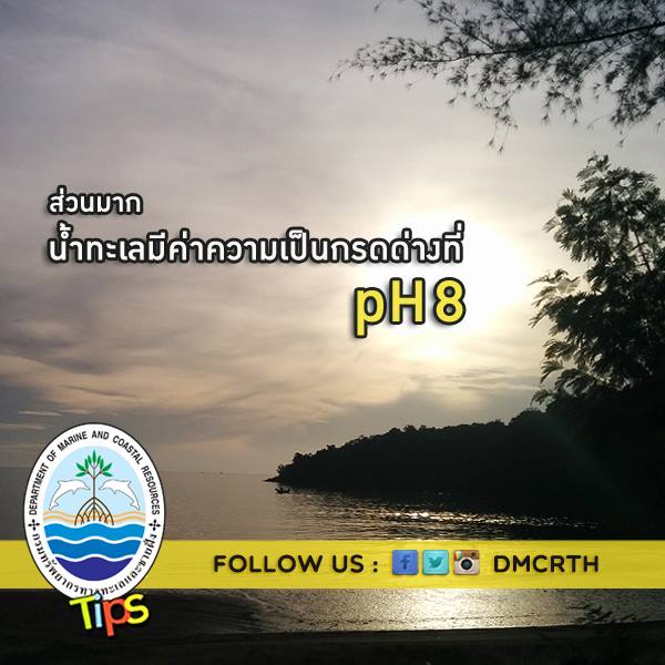 เกร็ดความรู้ ทช.