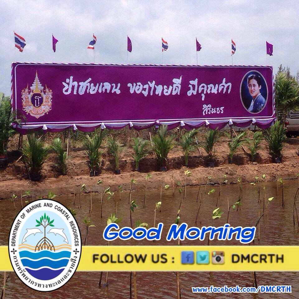 สวัสดี พี่น้องเครือข่ายรักษ์ทะเลไทย