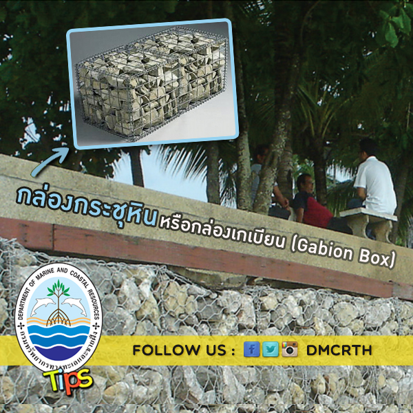 เกร็ดความรู้ ทช.