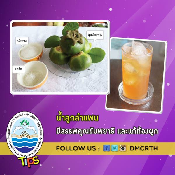 เกร็ดความรู้ ทช.