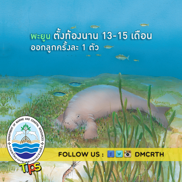 เกร็ดความรู้ ทช.