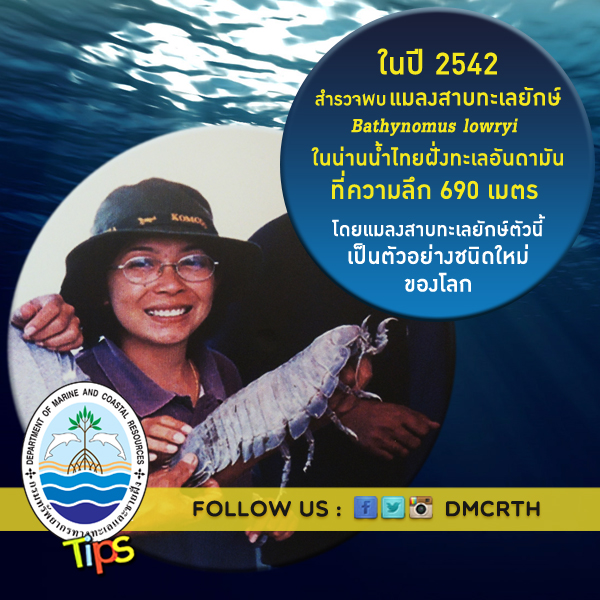 เกร็ดความรู้ ทช.