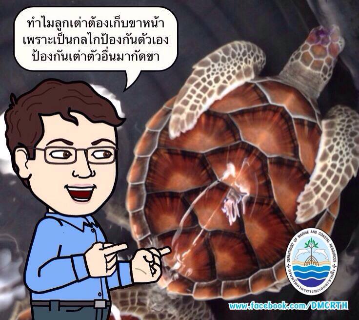 เกร็ดความรู้ ทช.