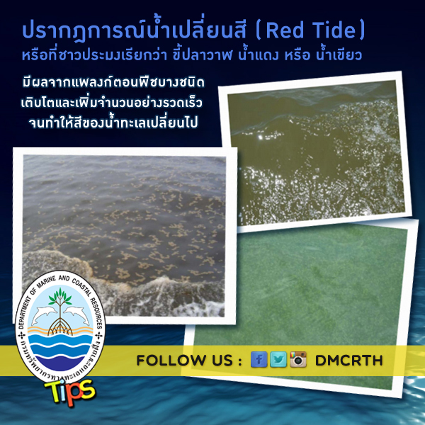 เกร็ดความรู้ ทช.