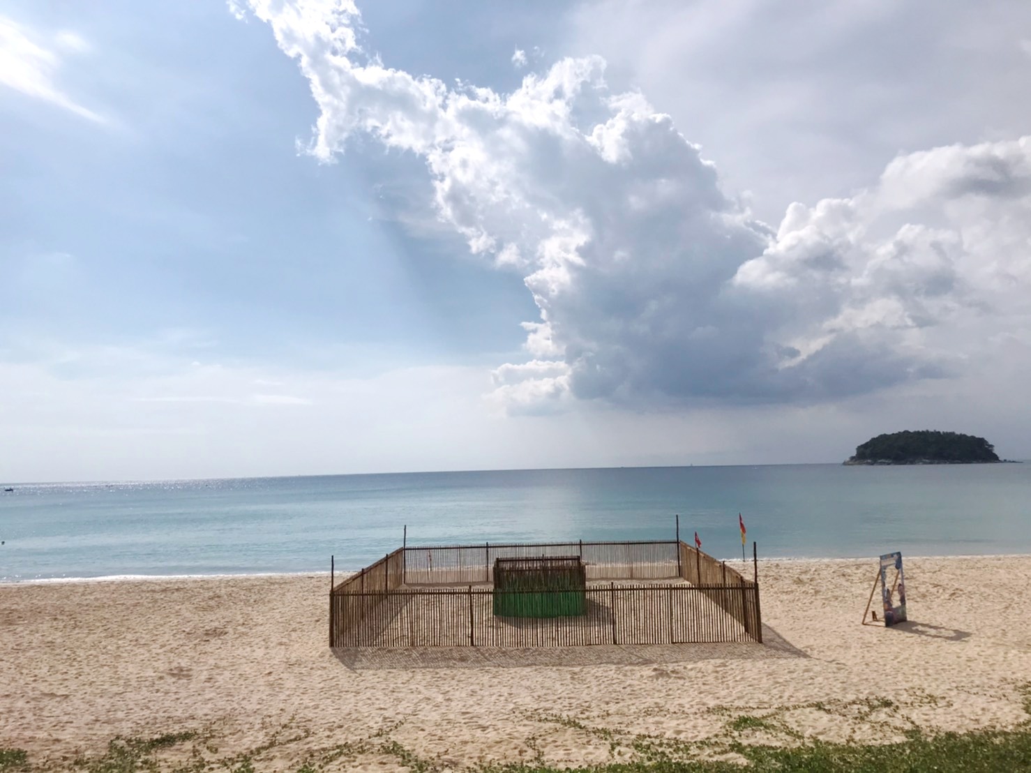 ทช. ตั้งศูนย์เฝ้าระวังและติดตามสถานการณ์เต่ามะเฟืองหาดกะตะ กระบี่