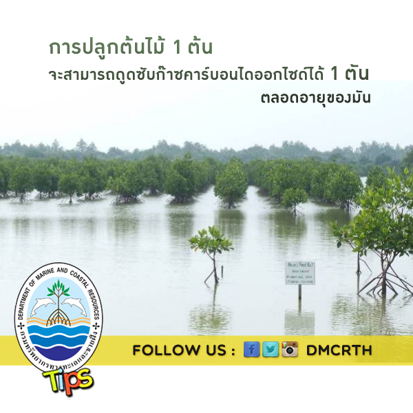 เกร็ดความรู้ ทช.