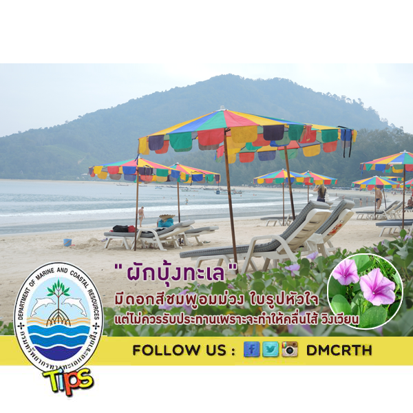 เกร็ดความรู้ ทช.