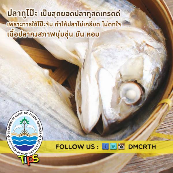 เกร็ดความรู้ ทช.