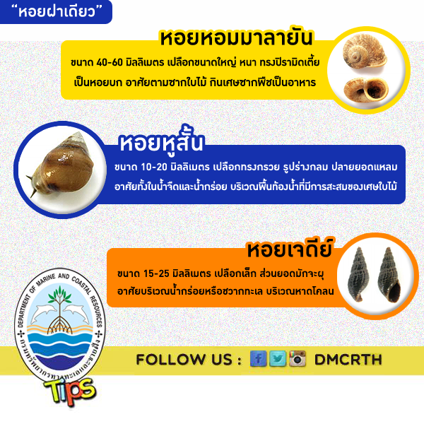 เกร็ดความรู้ ทช.