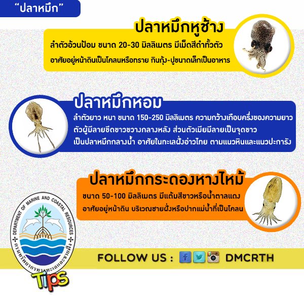 เกร็ดความรู้ ทช.