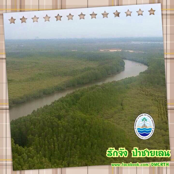 สวัสดี พี่น้องเครือข่ายรักษ์ทะเลไทย