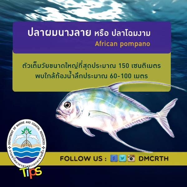 เกร็ดความรู้ ทช.