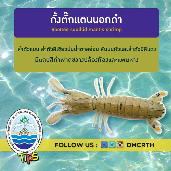 เกร็ดความรู้ ทช.