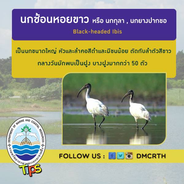 เกร็ดความรู้ ทช.