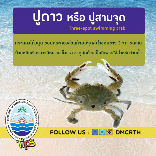 เกร็ดความรู้ ทช.