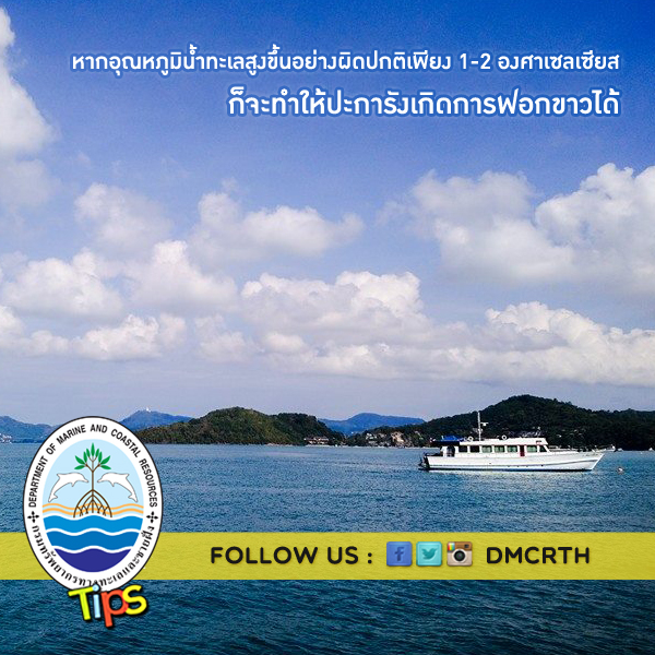 เกร็ดความรู้ ทช.