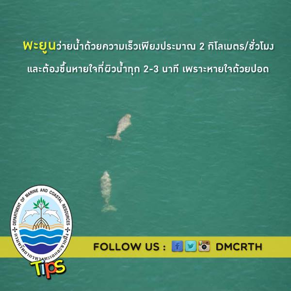 เกร็ดความรู้ ทช.