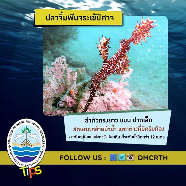 เกร็ดความรู้ ทช.