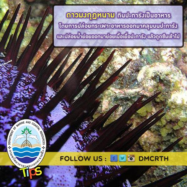 เกร็ดข้อมูล ทช.