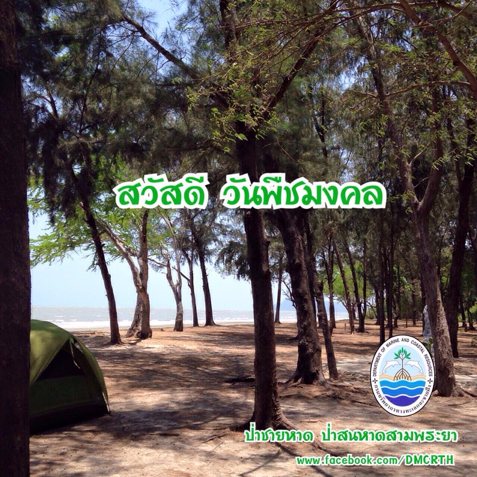 สวัสดี พี่น้องเครือข่ายรักษ์ทะเลไทย