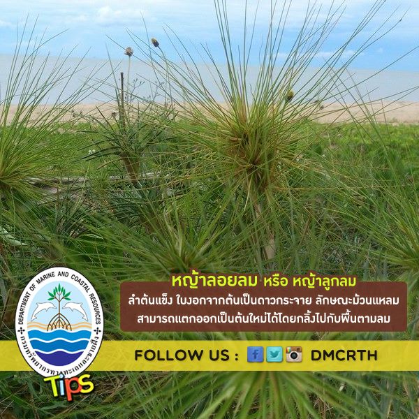 เกร็ดความรู้ ทช.
