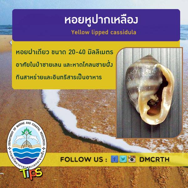 เกร็ดความรู้ ทช.