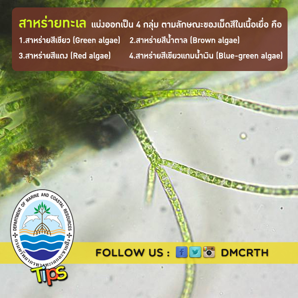 เกร็ดความรู้ ทช.